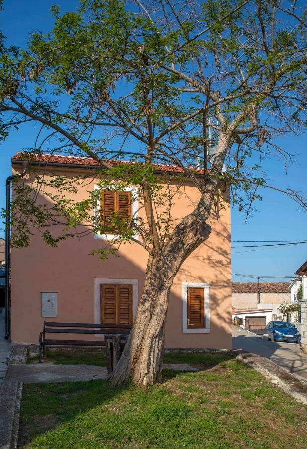 Apartman Juraj I Matej Vrsar Zewnętrze zdjęcie